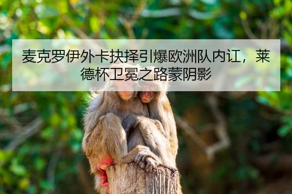 mai-ke-luo-yi-wai-ka-jue-ze-yin-bao-ou-zhou-dui-nei-hong-lai-de-bei-wei-mian-zhi-lu-meng-yin-ying-2-243.jpg