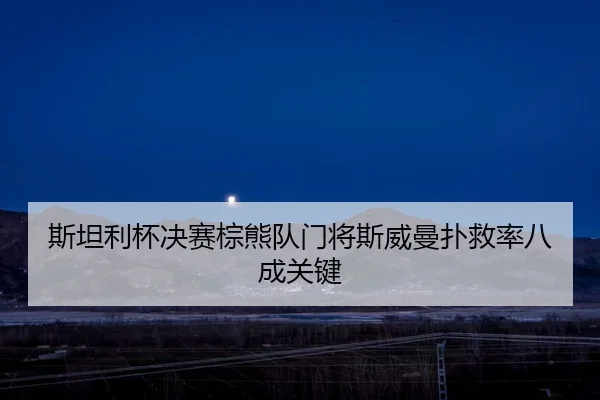 斯坦利杯决赛棕熊队门将斯威曼扑救率八成关键